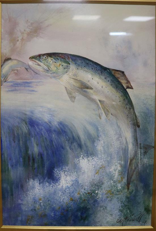 William Edward Powell (c1878/85-1955), watercolour, Study of salmon, signed, 35 x 24cm